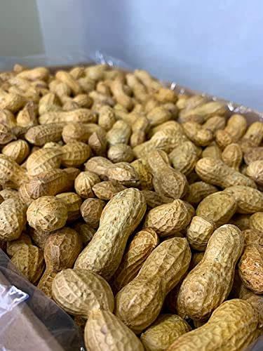 Raw Peanuts in Shell 5 lbs X34424